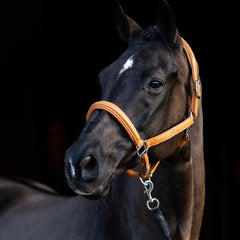 Halster HVPLeather Soft cognac maat COB