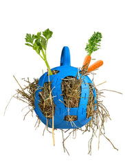 Jolly Hay Ball blauw 20 cm