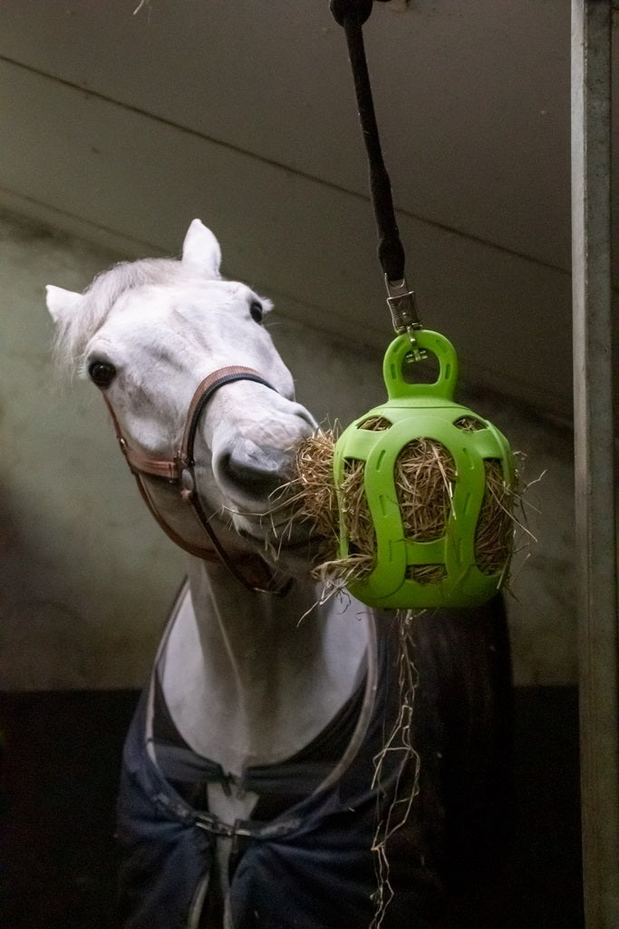 Jolly Hay Ball green 20 cm